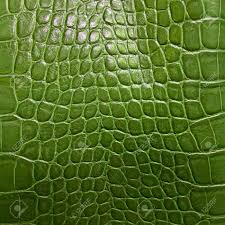 Crocodile Skin Material